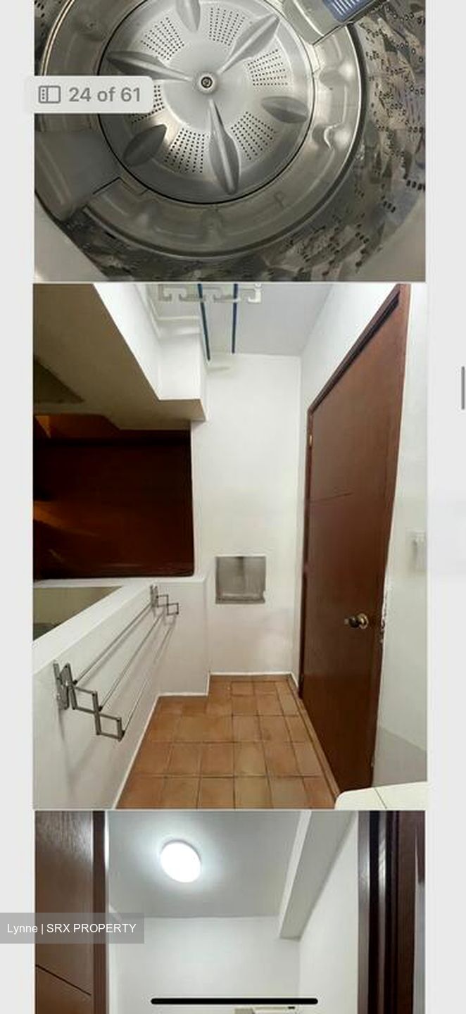 The Rivervale (D19), Condominium #503746871